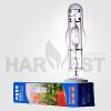 Metal Halide Lamp 400W/600W/1000W