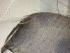 faux linen blackout fa...