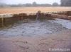 BLCO (Bony Light Crude...