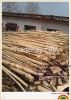 220 Model Vertical Type Wood Log Wood Debarker machine