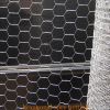 1/2 hexagonal animal wire netting
