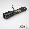 2010 stun gun  SRAY