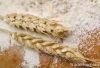 Wheat Flour Supplier| ...