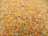 Yellow corn for animal feed