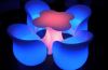 plum blossom table and...