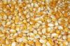 Yellow Maize & Yel...