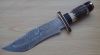 Damascus knife with St...