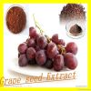 High quality Grape see...