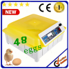 48 eggs incubator mach...