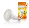 ECOWATT