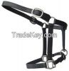 Horse Halter