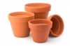 Terracotta pots and jars