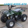 Top Quality ATV with EEC, quad, 4x4 110cc/350cc/400cc Quad Bike for Kids/Adult