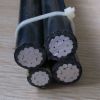 ABC Cable, Aerial Bundled Cable,
