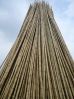 Bamboo poles from Viet...