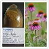 Echinacea Extract 