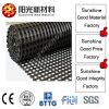 Polyester geogrid with high tensile and modulus