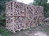 Best quality Klin dried ash firewood, beech firewood, oak firewood