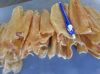 FREAS AND DRIED SEA BASS,MACKEREL, SADINE, TUNA, GROUPER, SEA FISH AND DRIED FISH MAW, TOP QUALITY WHOLE DRIED MAW