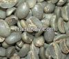 Arabica Coffee beans, ...