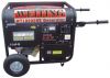 WT10000 10kva portable...