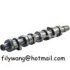 Auto Camshaft for Volk...