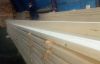 Sawn Pine/Spruce and Birch Lumber