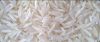 RICE SUPPLIER| PARBOIL...