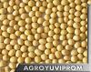 Soy Beans Wholesale fr...