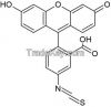 Disulfide Bond Peptides