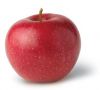 Fruit Export