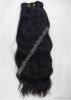 Human Hair9489