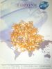 Maize | Maize Exporter...