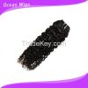 6A Brazilian Virgin Remy Hair Extensions Kinky Coil10"-36" Natural Black Color Dyeable Tangle Free No Shedding  