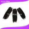 6A Brazilian Virgin Remy Hair Extensions Kinky Coil10"-36" Natural Black Color Dyeable Tangle Free No Shedding  