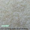 1121 Basmati Creamy Se...