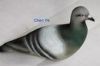 pigeons toys