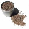 Cumin Seed