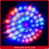 party supplies LED balloons