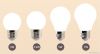 Mini LED Ball Bulb Light