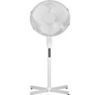 Stand Fan