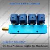 4 cylinder CNG/LPG Rail Injector