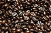 Export Arabica Coffee ...