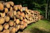 Firewood