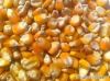 Yellow Corn & Yell...
