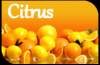 Citrus