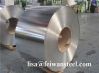 Hot Rolled Strip Steel...