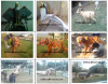 FRP monuments, animals statue, sculpture