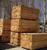 Pine or Spruce Timbers
