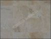 Travertine, marble, splitface, tiles,  mosaic, french patterns, mosaic patterns, tumbled, copings, pavers, borders, moldings, sinks, and mores.